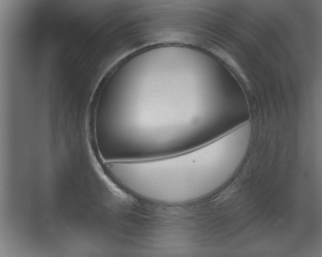 X0000073480991200607310846