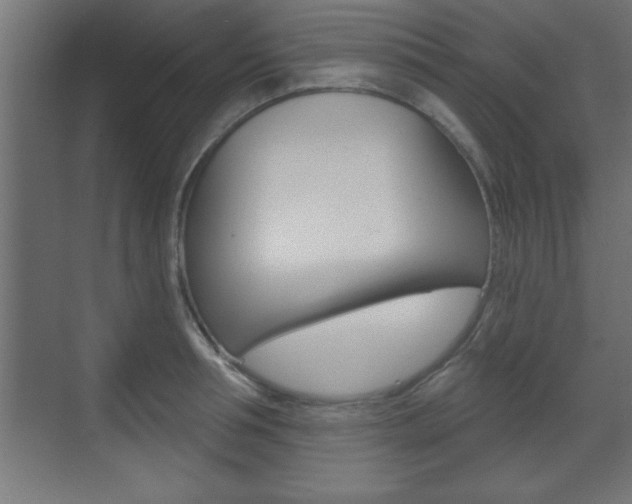 X0000073480994200607310846