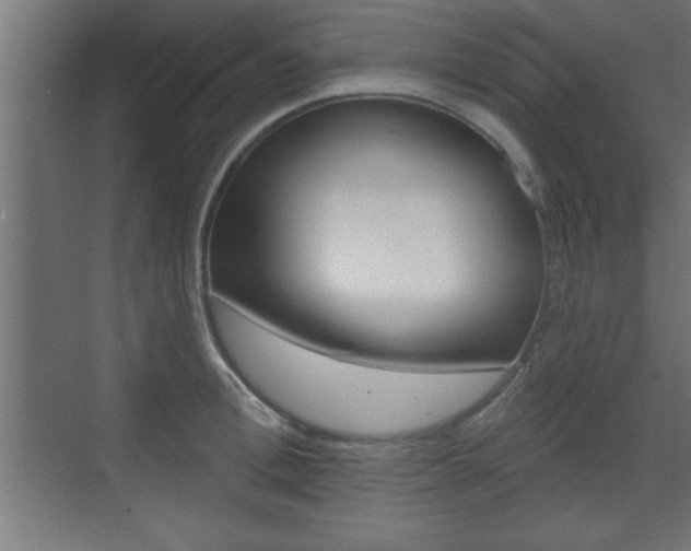 X0000073480996200607310846