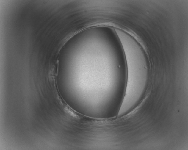 X0000073481001200607310846