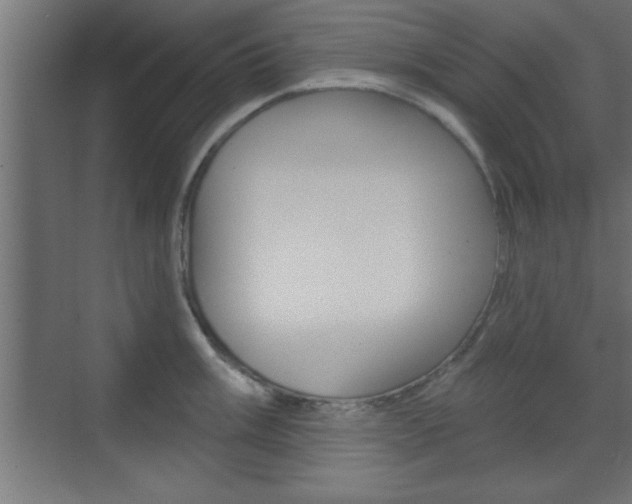X0000073481003200607310846