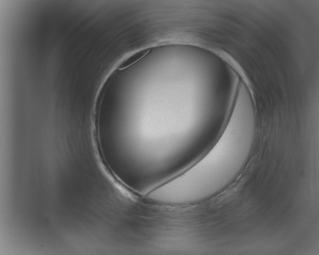 X0000073481005200607310846
