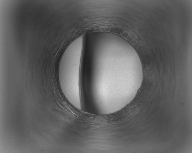X0000073481009200607310845