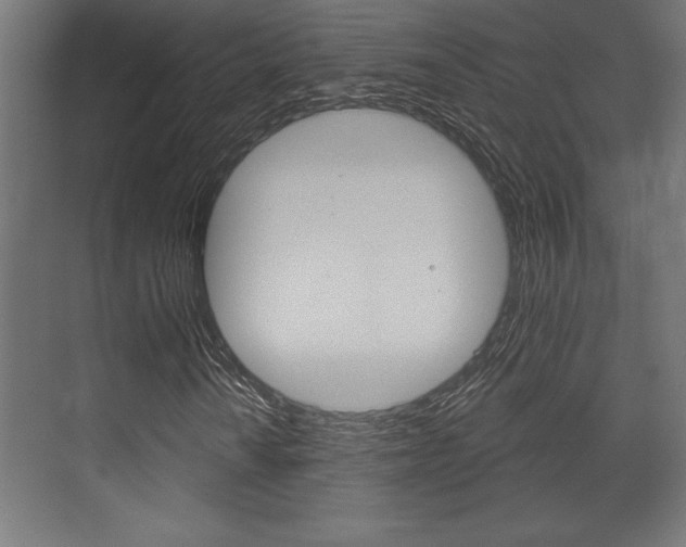X0000073481010200607310845