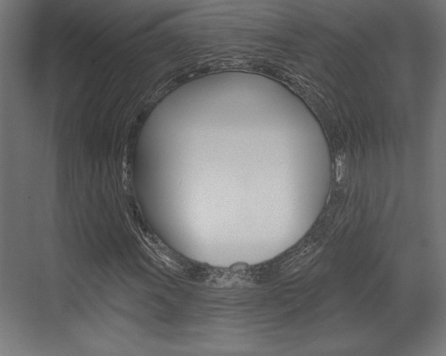 X0000073481011200607310845