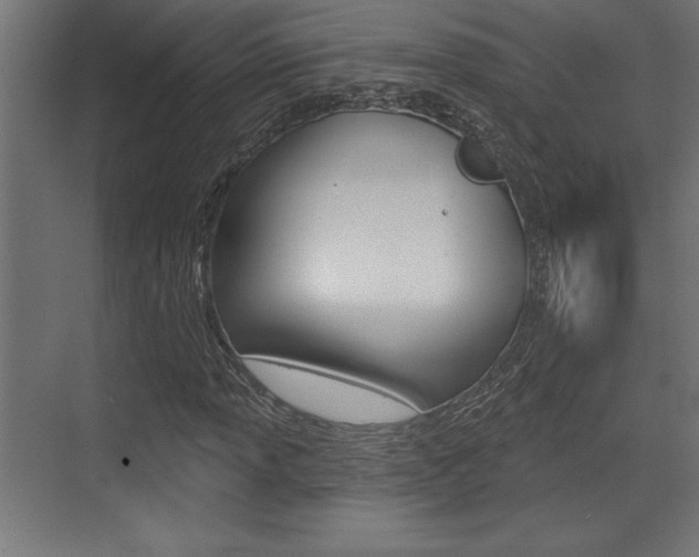 X0000073481013200607310845