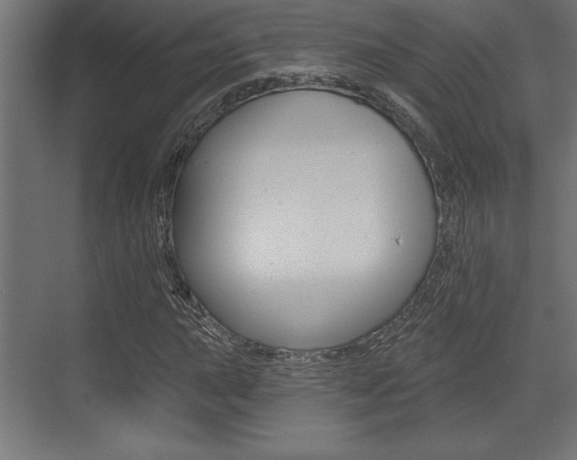 X0000073481015200607310845