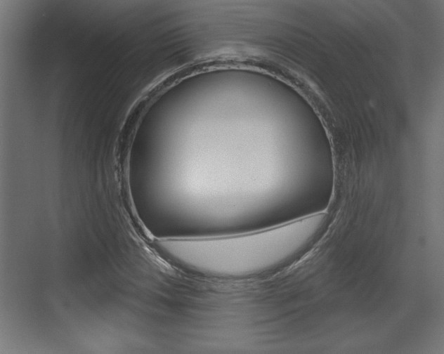 X0000073481018200607310845