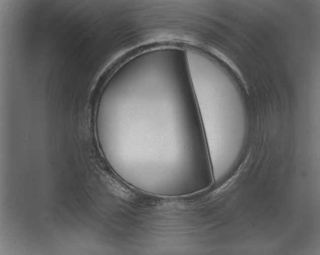 X0000073481021200607310845