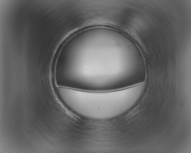 X0000073481024200607310845