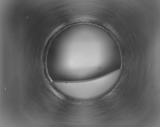 X0000073481026200607310845