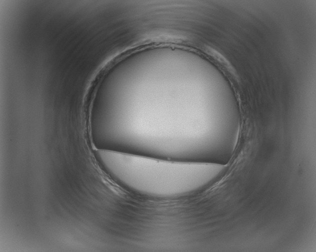 X0000073481027200607310845