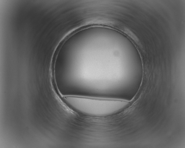X0000073481028200607310845