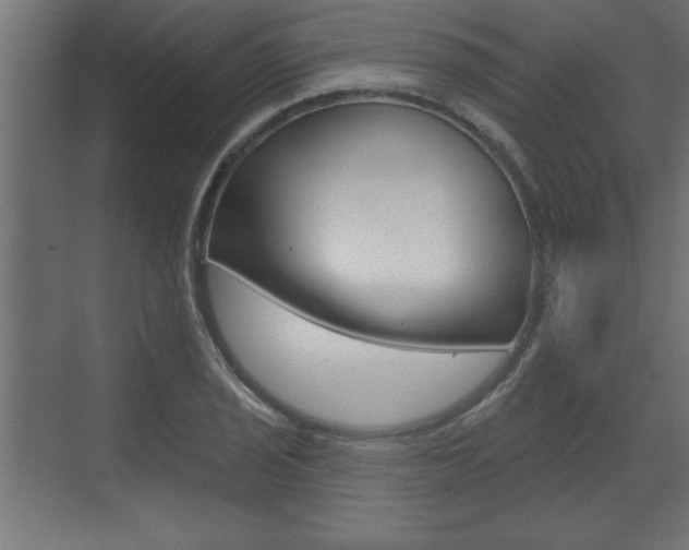 X0000073481029200607310846