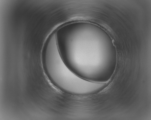 X0000073481030200607310846