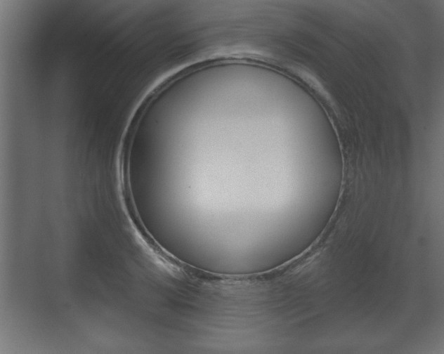 X0000073481032200607310846