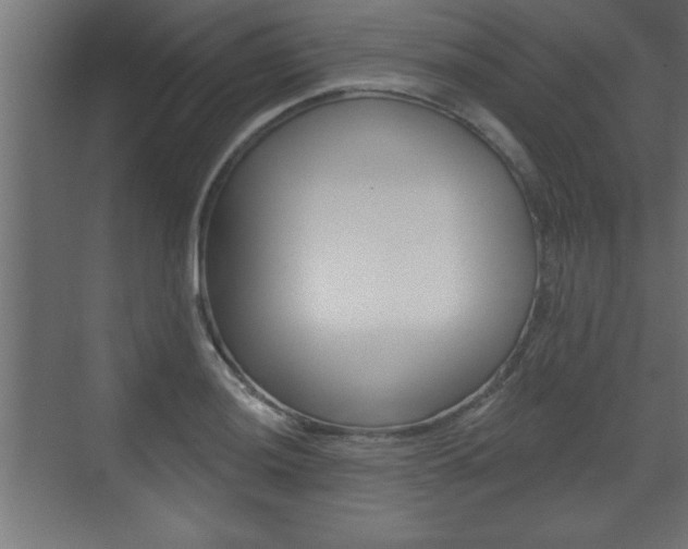 X0000073481036200607310846