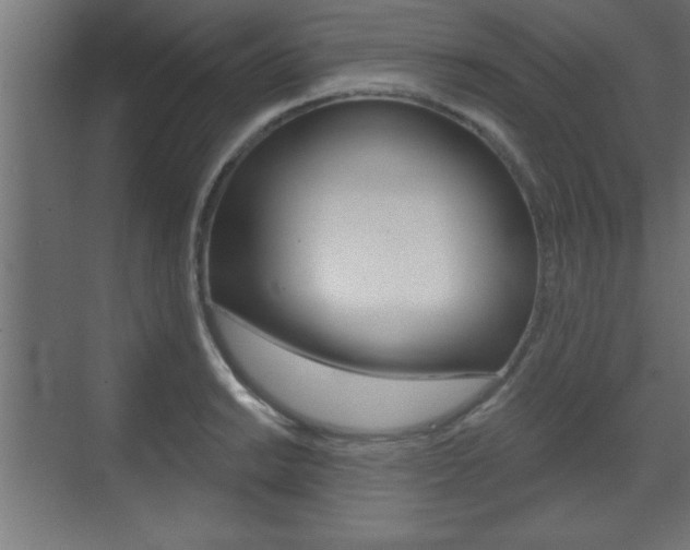 X0000073481038200607310846