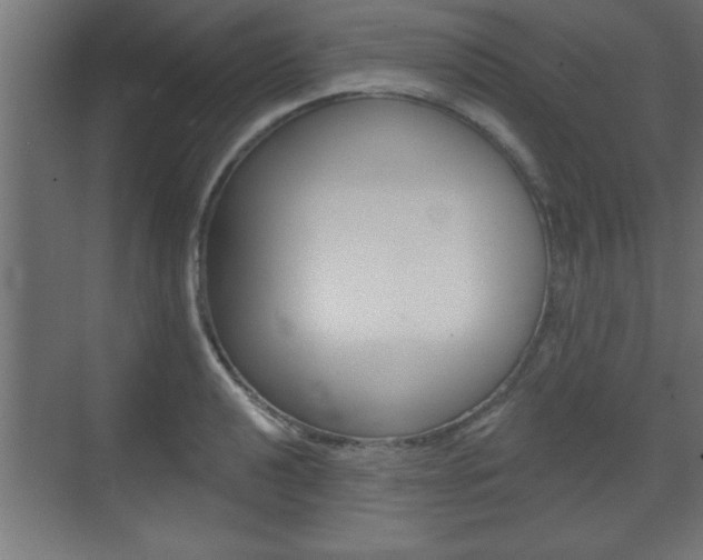 X0000073481040200607310846