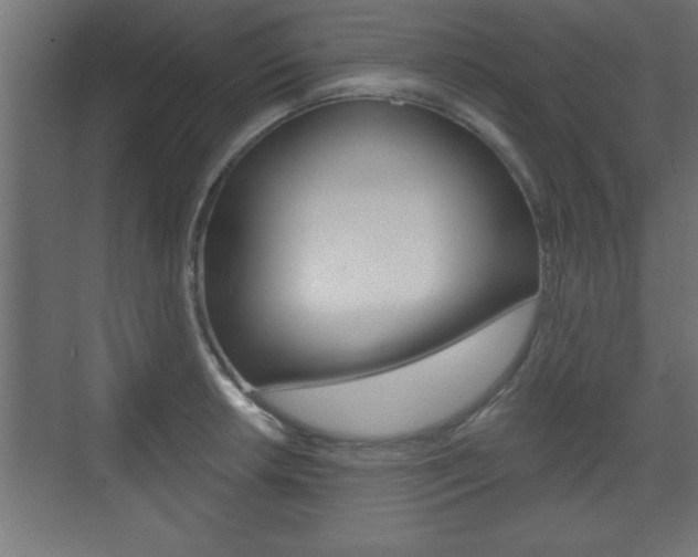 X0000073481042200607310846