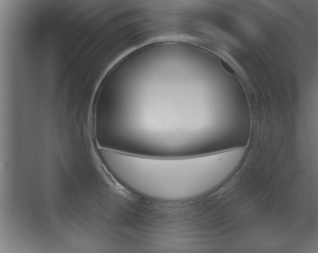 X0000073481044200607310846