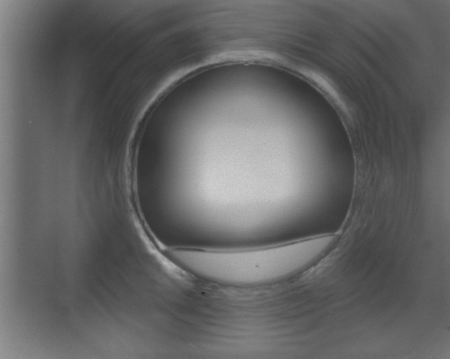 X0000073481046200607310846
