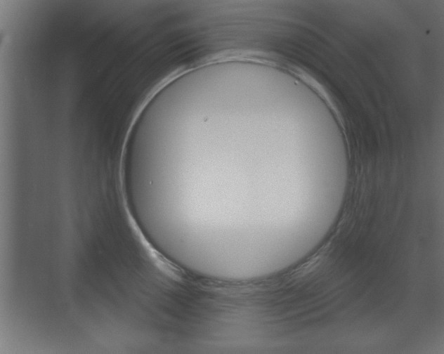 X0000073481050200607310846
