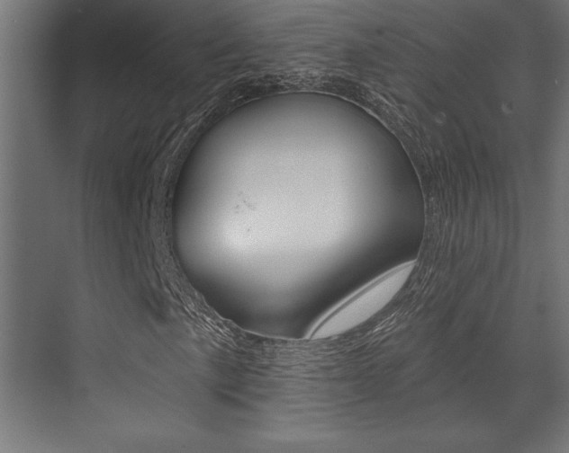 X0000073481057200607310845