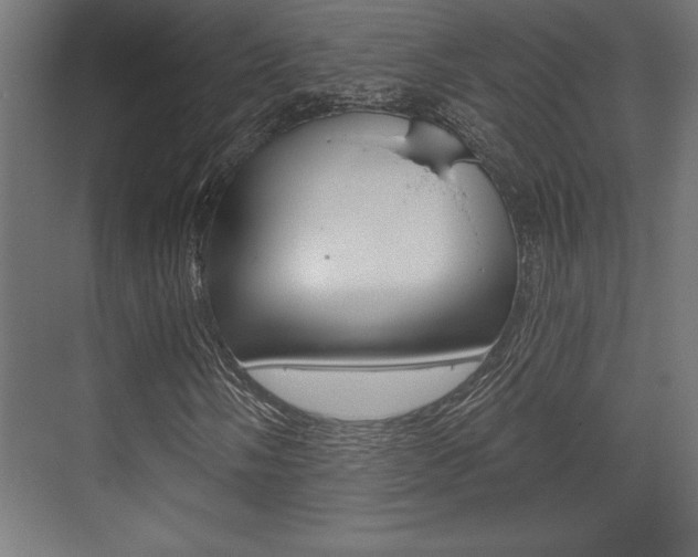 X0000073481058200607310845