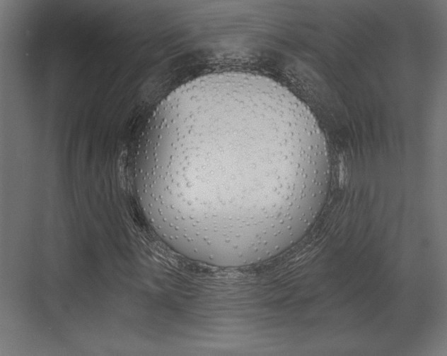 X0000073481059200607310845