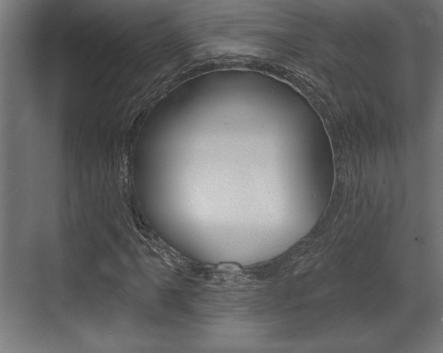 X0000073481061200607310845
