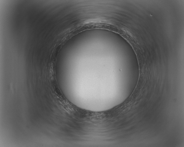 X0000073481062200607310845
