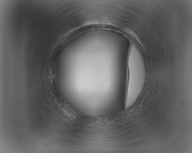 X0000073481064200607310845