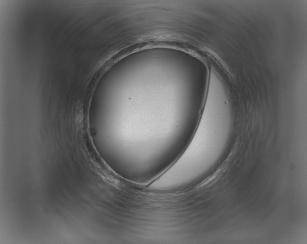 X0000073481065200607310845