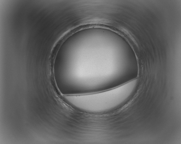 X0000073481069200607310845