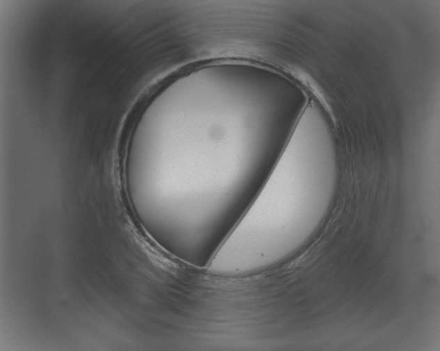 X0000073481072200607310845