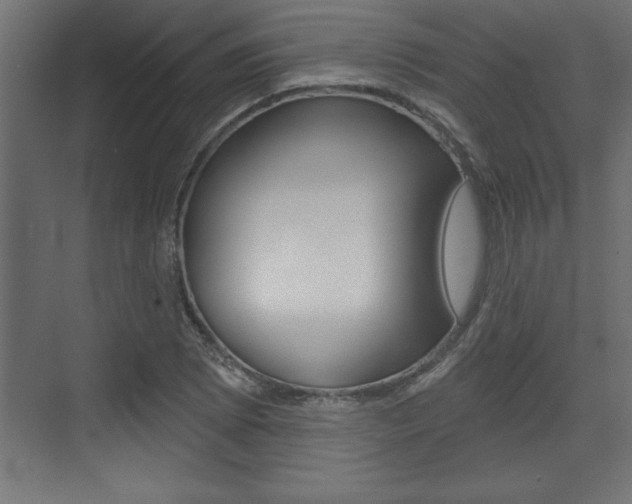 X0000073481073200607310845