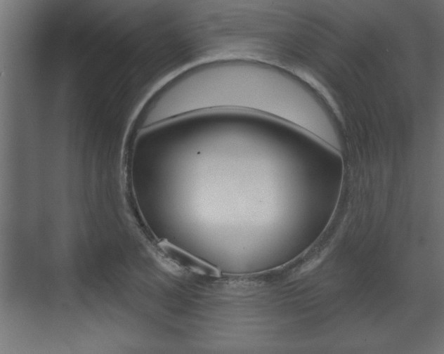 X0000073481077200607310845