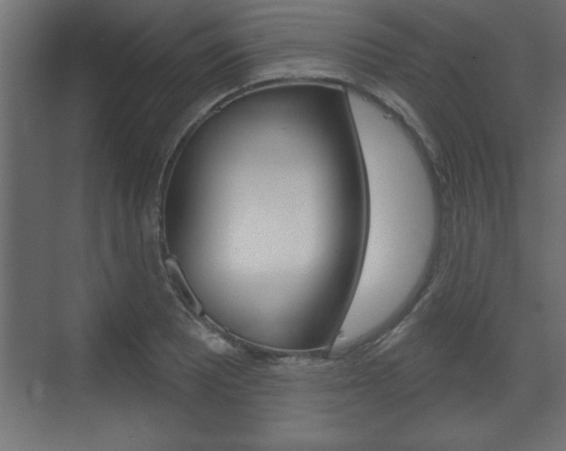 X0000073481081200607310845