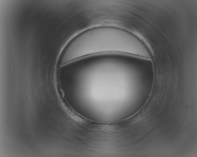 X0000073481085200607310845