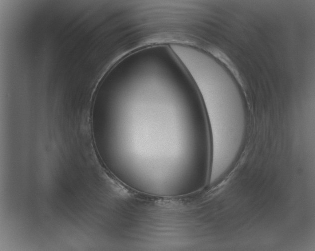 X0000073481089200607310845