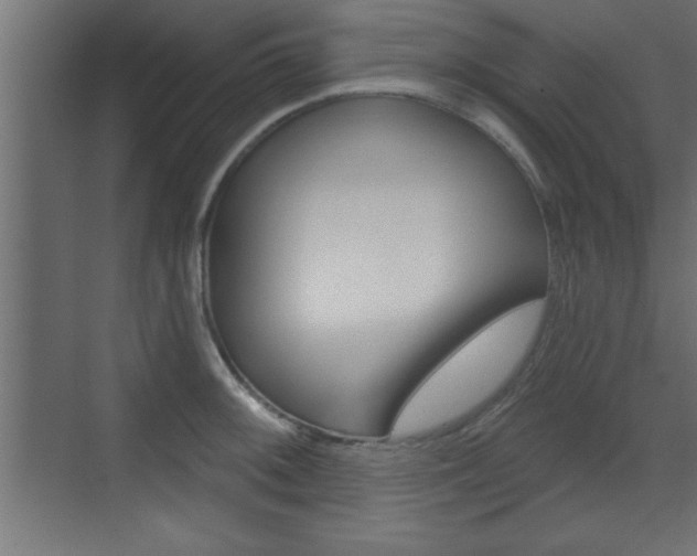 X0000073481092200607310845