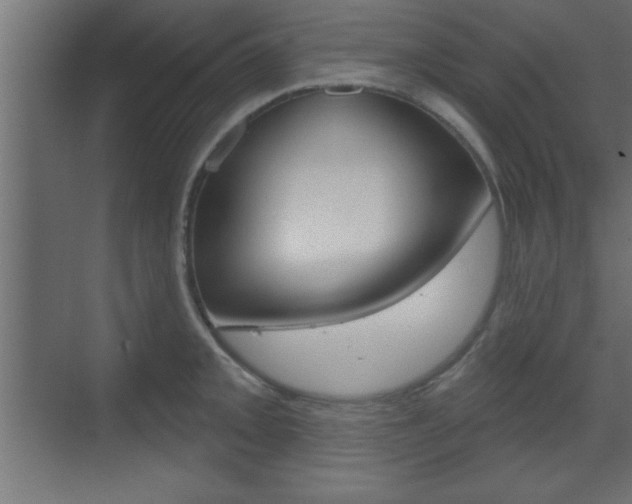 X0000073481093200607310845