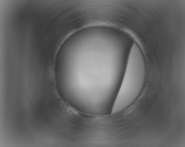 X0000073481097200607310844