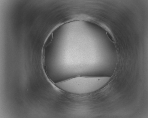 X0000073481103200607310844