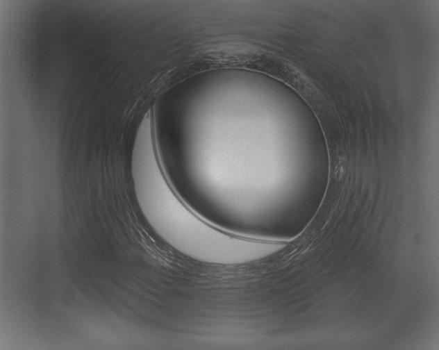 X0000073481108200607310844