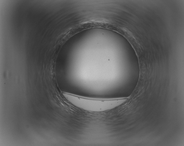X0000073481110200607310844