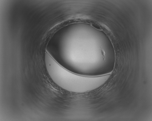X0000073481112200607310844