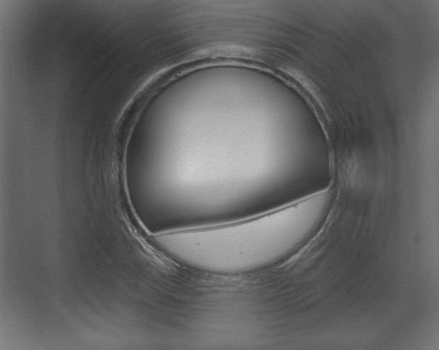 X0000073481115200607310844