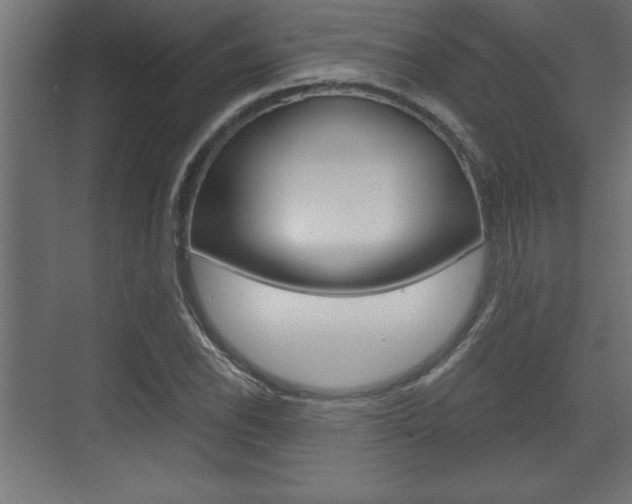 X0000073481118200607310844